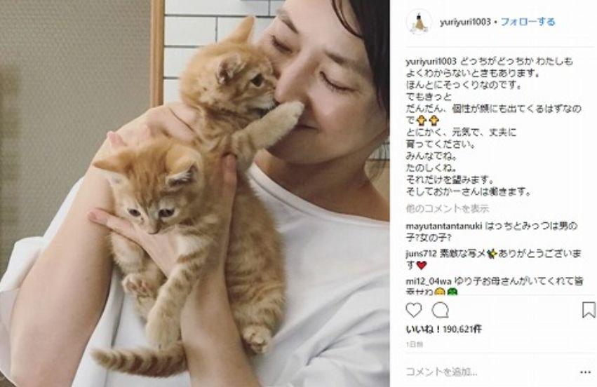 石田ゆり子の愛猫徹底まとめ ハニオのネコ歌でこちらもメロメロ 動画像