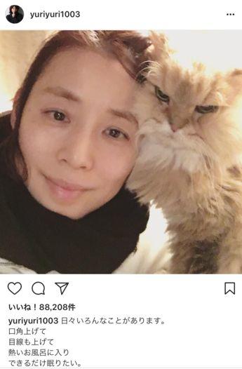 石田ゆり子の愛猫徹底まとめ ハニオのネコ歌でこちらもメロメロ 動画像